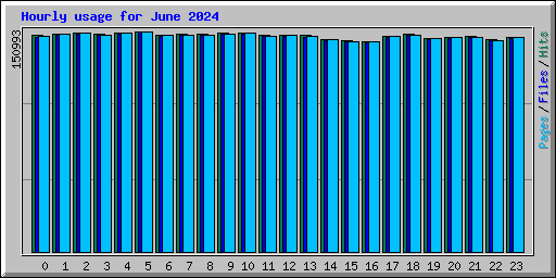 Hourly usage for June 2024