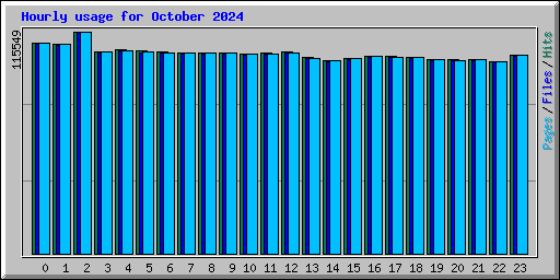 Hourly usage for October 2024