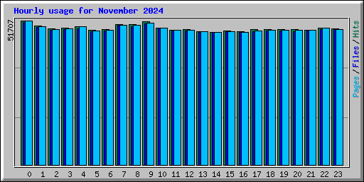 Hourly usage for November 2024