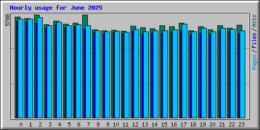 Hourly usage for June 2025