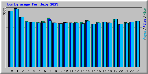 Hourly usage for July 2025