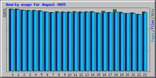 Hourly usage for August 2025