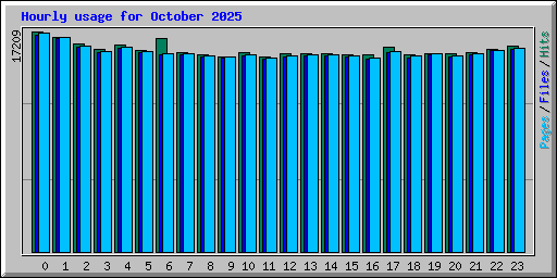 Hourly usage for October 2025